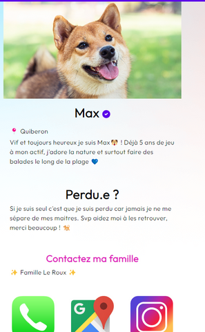 Quelles sont les démarches à faire si mon animal est perdu ? - Profil chien