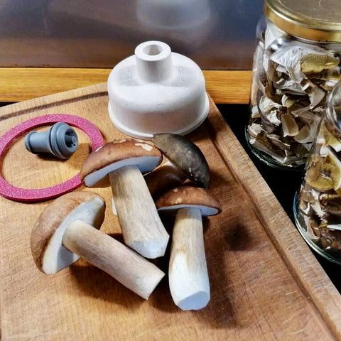 conservation des champignons deshydratés sous vide