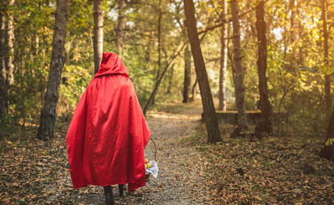 Little red riding hood walking through the woods