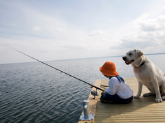 dog on a dock with his owner fishing