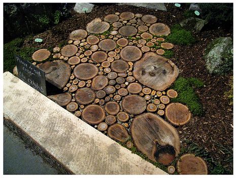 wood cookie path