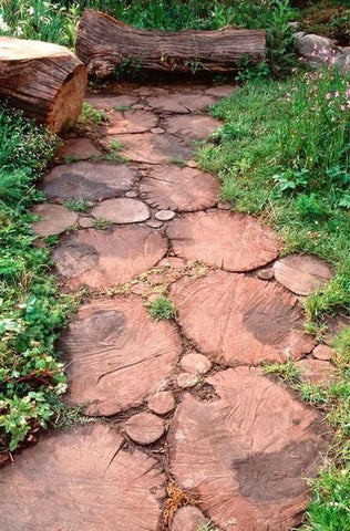 wood cookie path