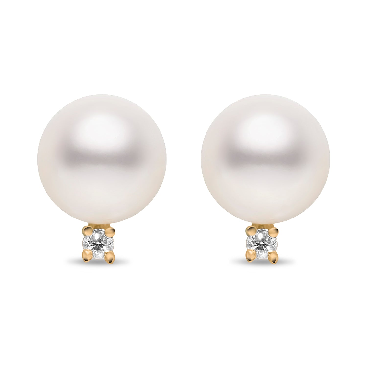 white south sea pearls