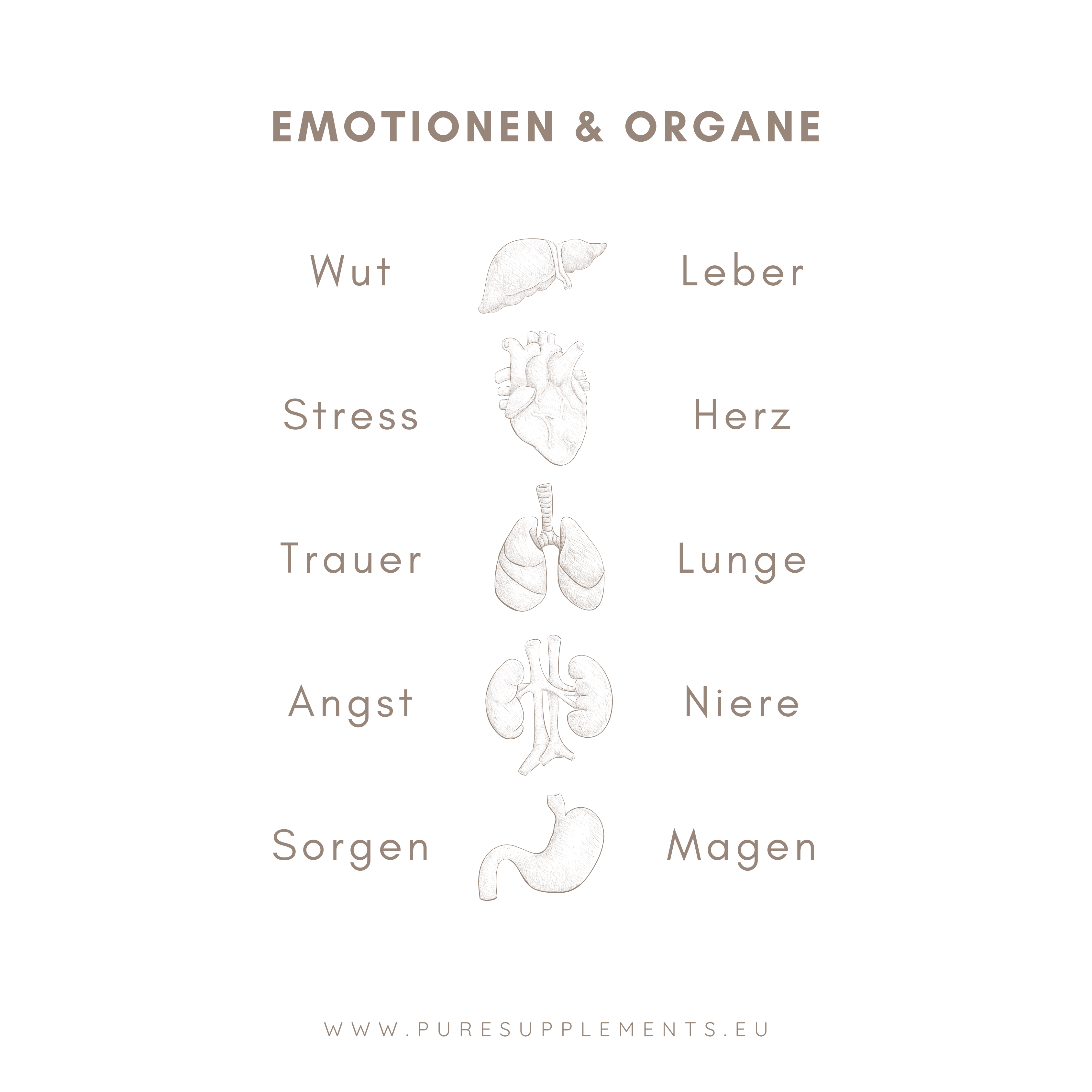 Emotionen und Organe_puresupplements.eu