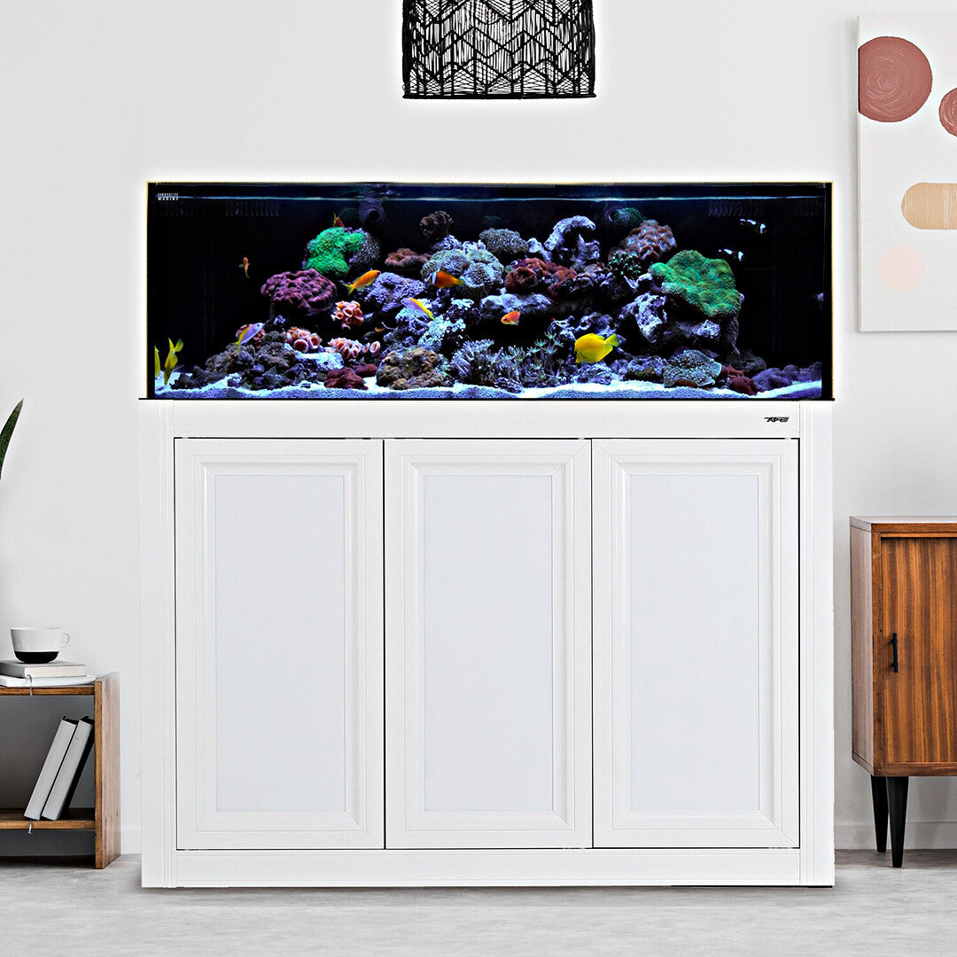 Best 60 Gallon Aquarium With Stand for sale in Elk Grove