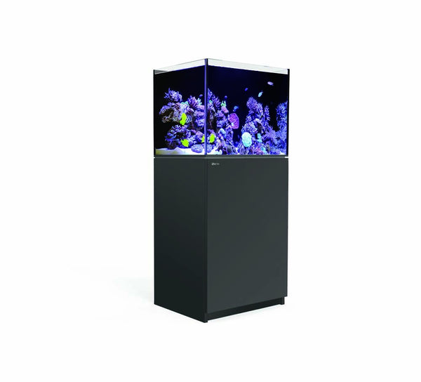 Red Sea Reefer 250 G2+ Black