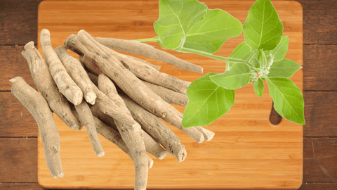 Ashwagandha Herb Image | Natural Health Gateway
