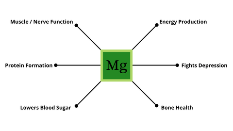 Magnesium is a key player in bone health, metabolism, health blood sugar levels, and even your mood.