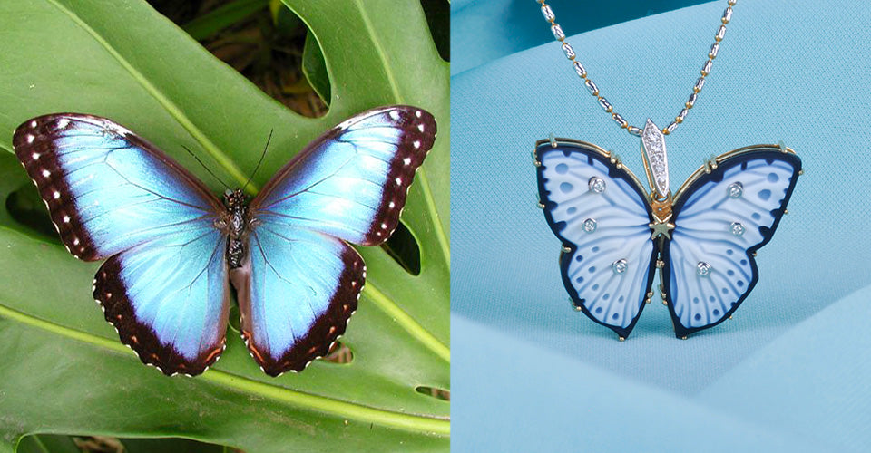 blue butterfly on green leave