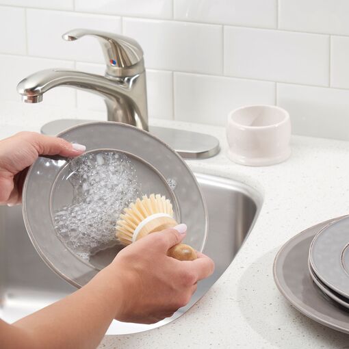 The Sponge Brush for the Kitchen Sink