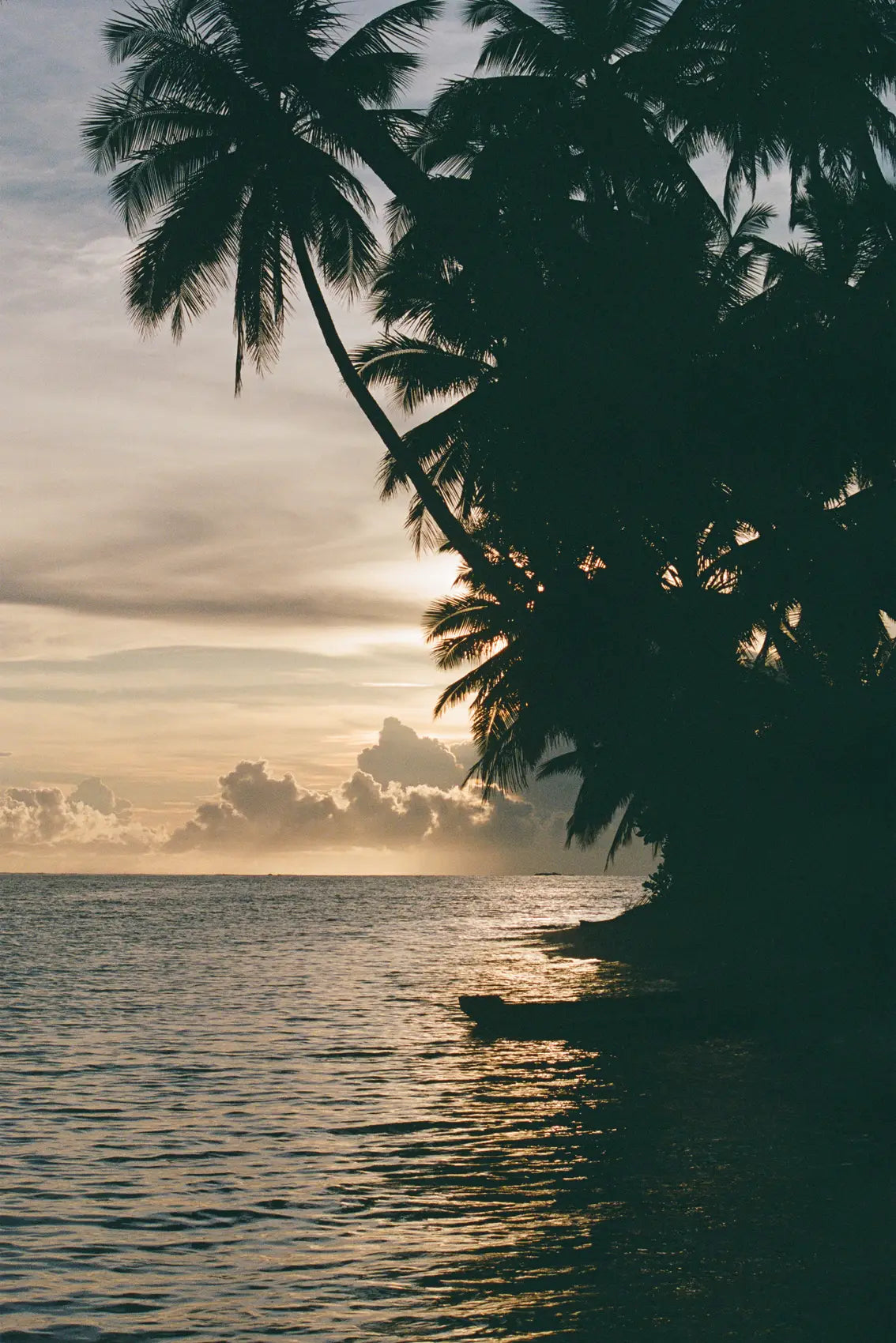 Sunset Silhouette in Sumatra