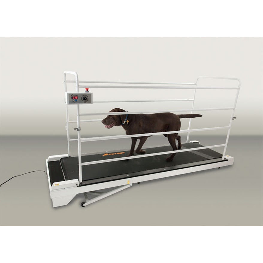 Gopet Petrun Pr730 Encloseable Treadmill For Large Dogs Up To 264 Lbs