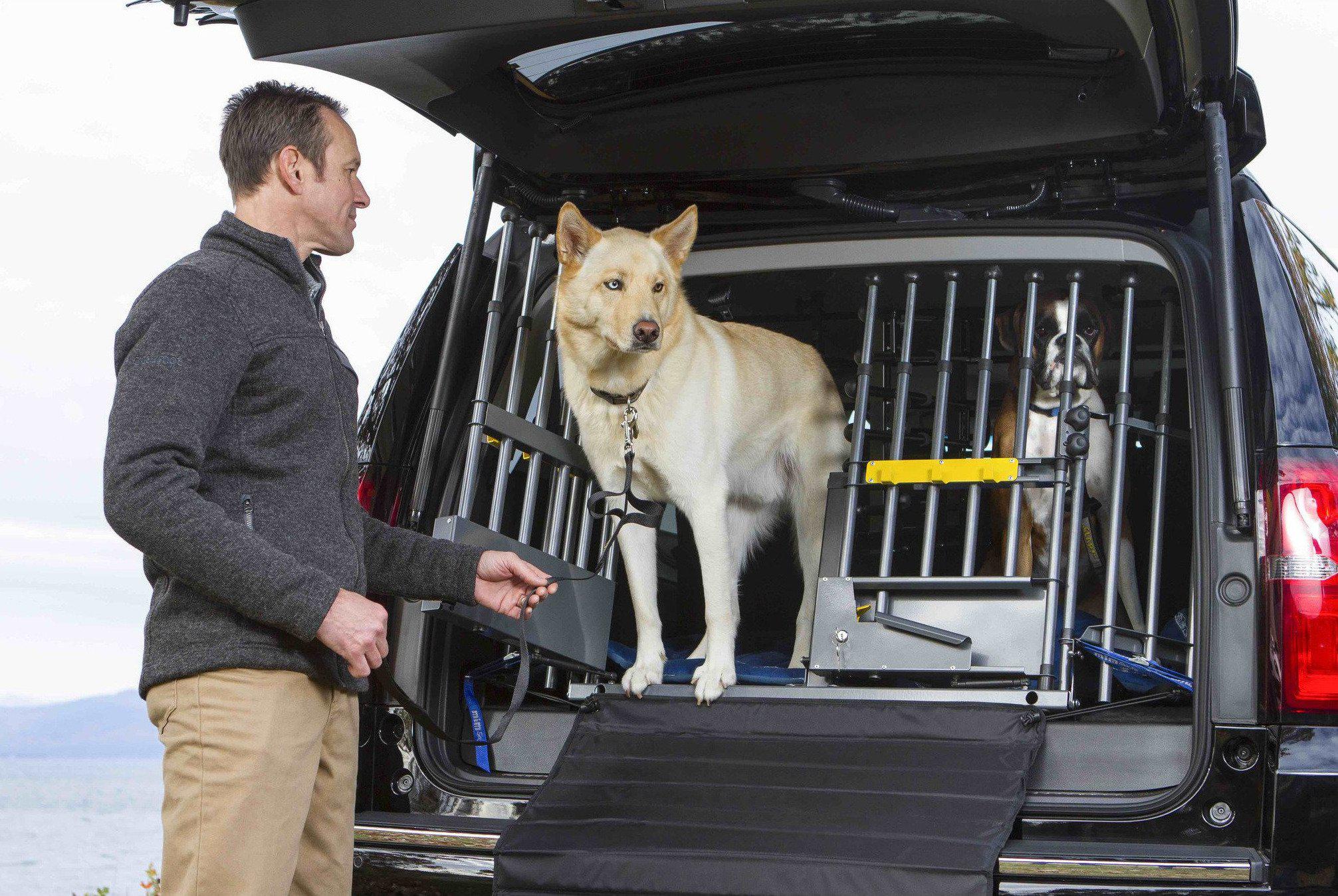 gate to keep dog in back of car