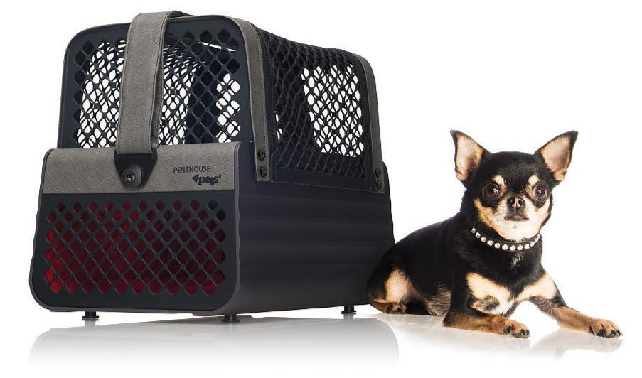 4Pets Penthouse TUV Crash Tested Dog Pet Car Carrier