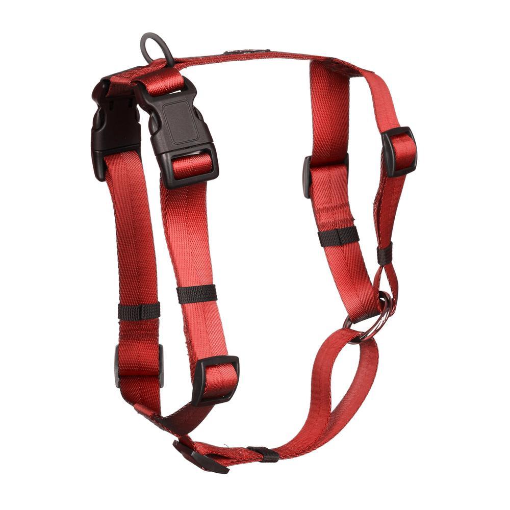 Canadian Canine Anchor harness