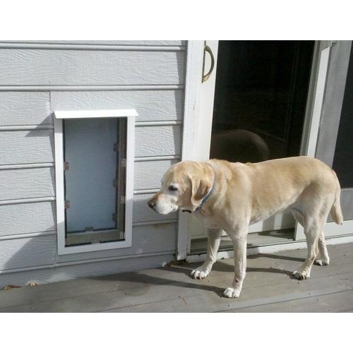 doggy door for wall