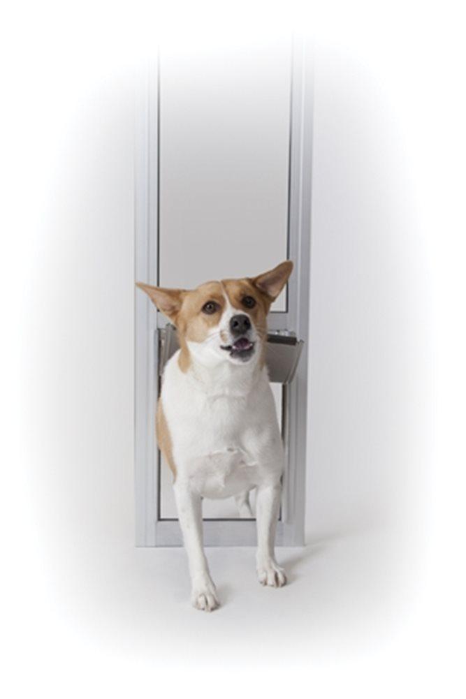 Consider Patio Doors with Built-In Pet Doors for Your Single-Story Home -