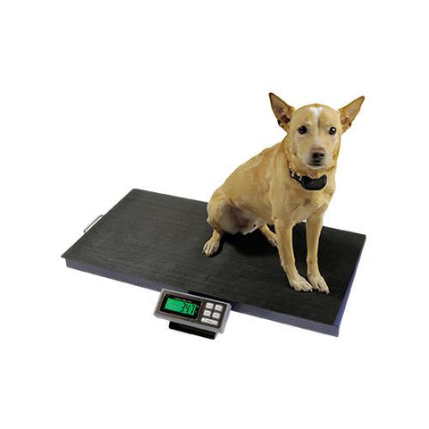 https://cdn.shopify.com/s/files/1/0606/5593/products/veterinary-scales-dre-veterinary-scales-1_large.jpg?v=1579874780