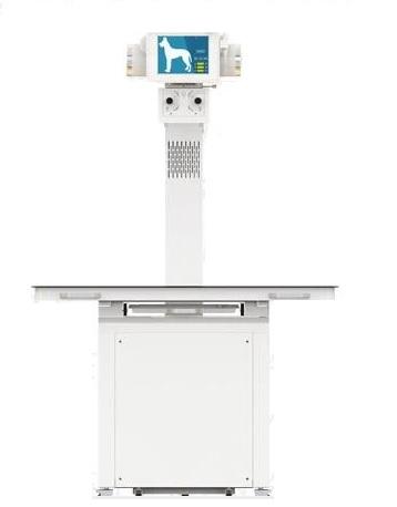 DRE Stationary DR Digital Veterinary X Ray System