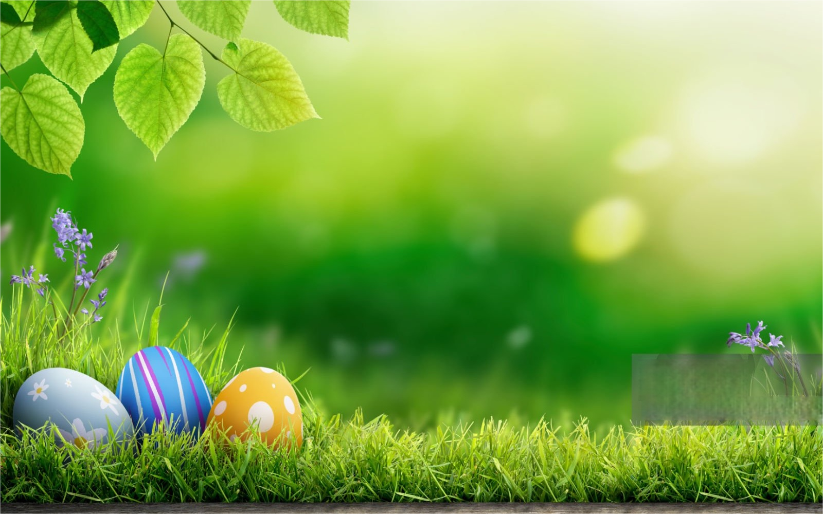 Happy Easter: How to Make the Most of the Holiday Outdoors
