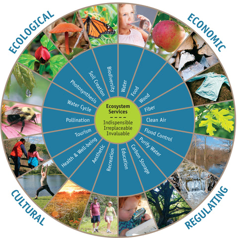 Ecosystem benefits diagram