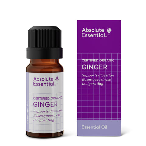 ginger essential oil - absolute essential