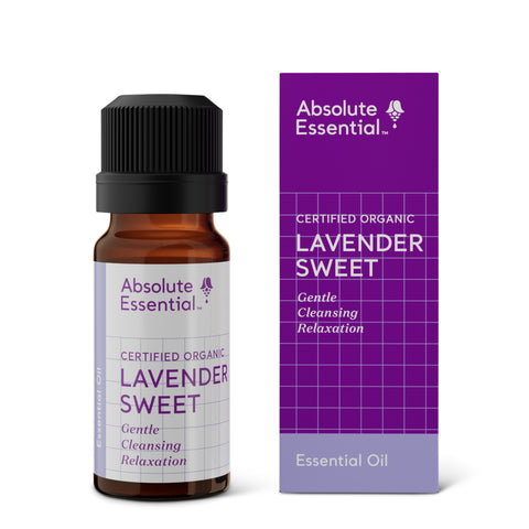 lavender-sweet-essential-oil