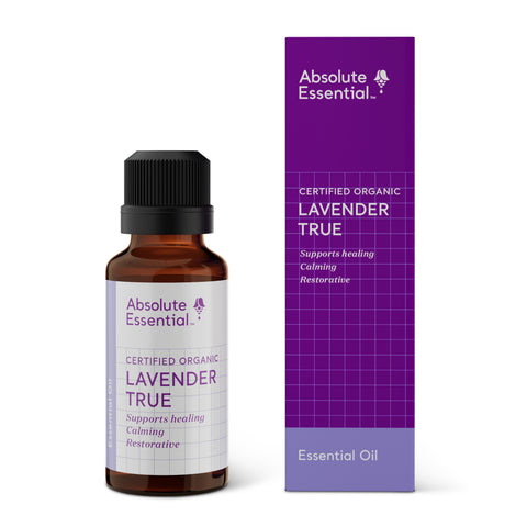lavender true essential oil