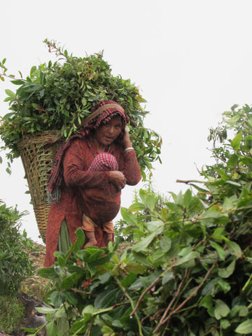 women with basket