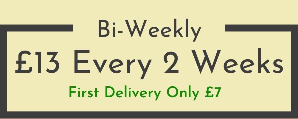 bi-weekly subscription boxes
