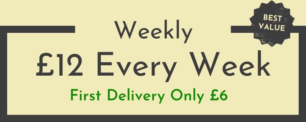 weekly subscription boxes