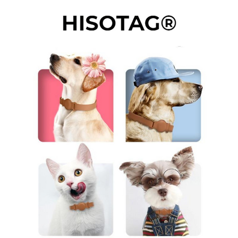 hisotag airtag pet collar for cats