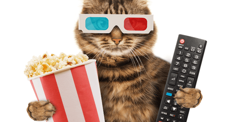 Cat wearing movie glasses and holding a popcorn bucket