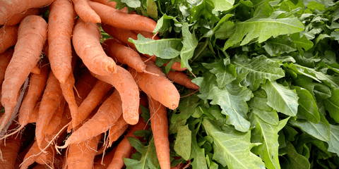 a bunch of carrots and leafy greens