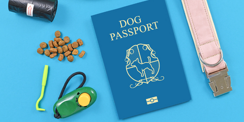 Dog passport and essentials