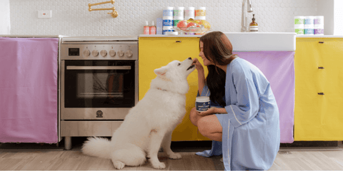 Liza "Hope" Soberano giving Yuna Dr. Shiba treats in the kitchen