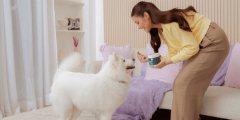 Liza "Hope" Soberano feeding her dog Yuna Dr. Shiba treats