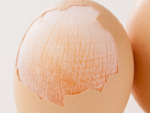 Eggshell Membrane Collagen