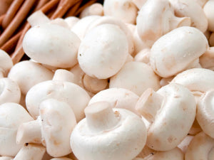 White Button Mushroom Extract