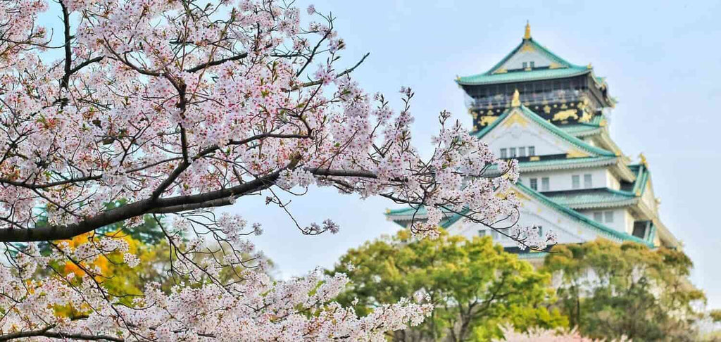 Las 6 Flores Japonesas Más Bonitas y su Significado | Divain Bouquet