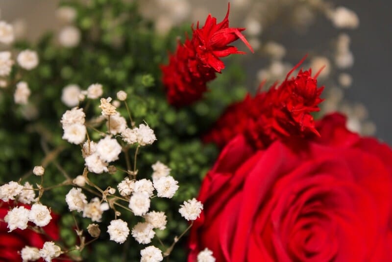 ▷ Tipos de Flores Preservadas | Divain Bouquet