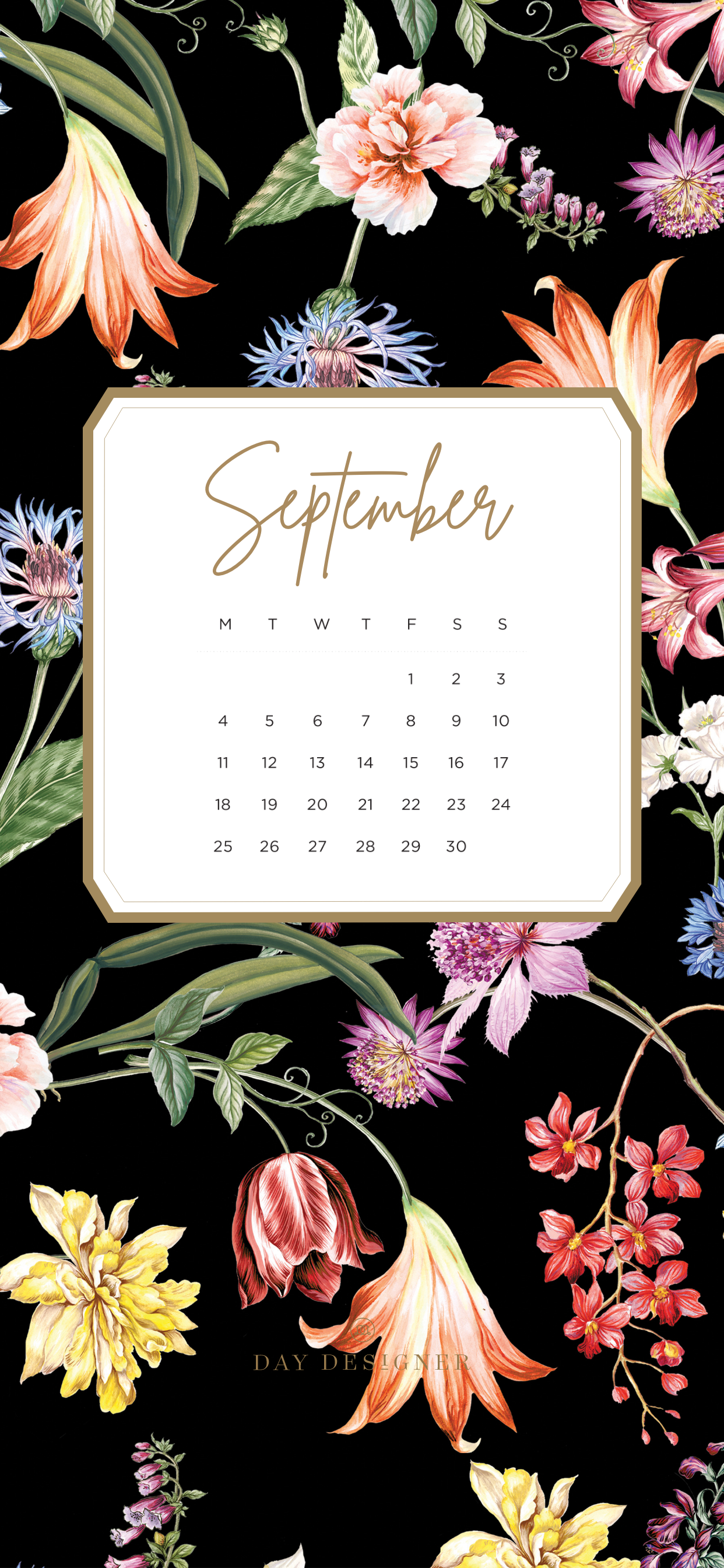 September 2018  Free Desktop  iPhone Wallpaper  Becca Jayne 