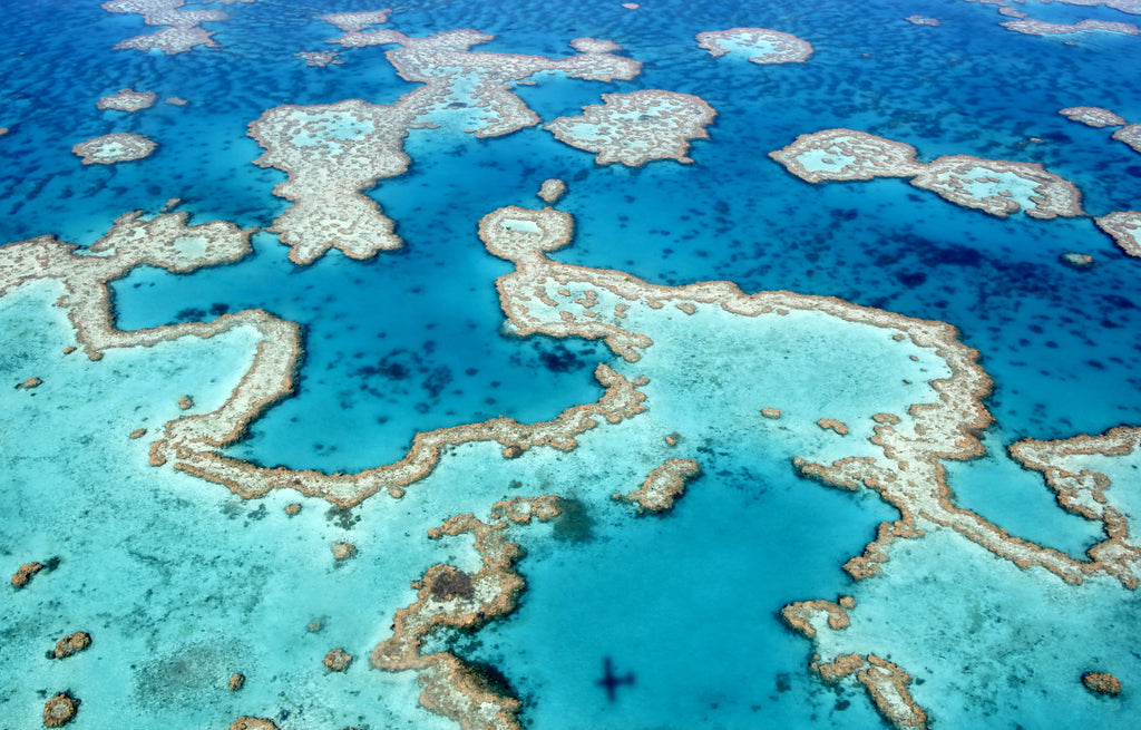 great barrier reef