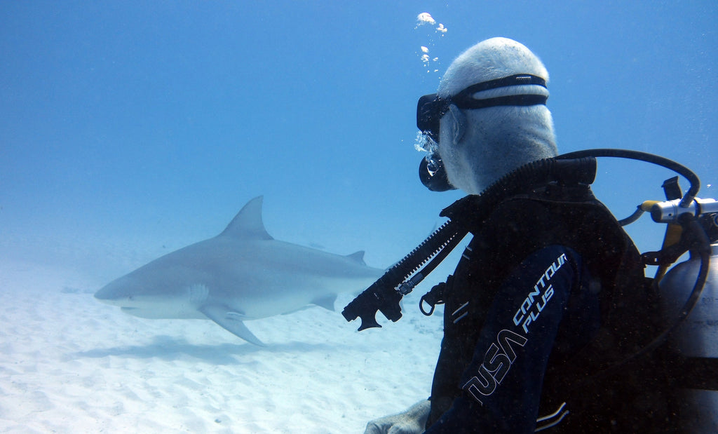 scuba diver and shark