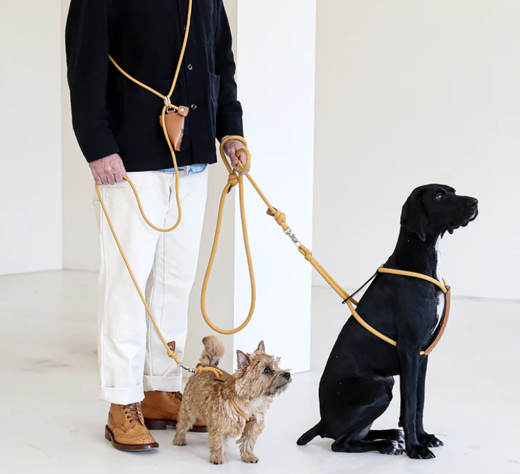 HOZI Essential Harness