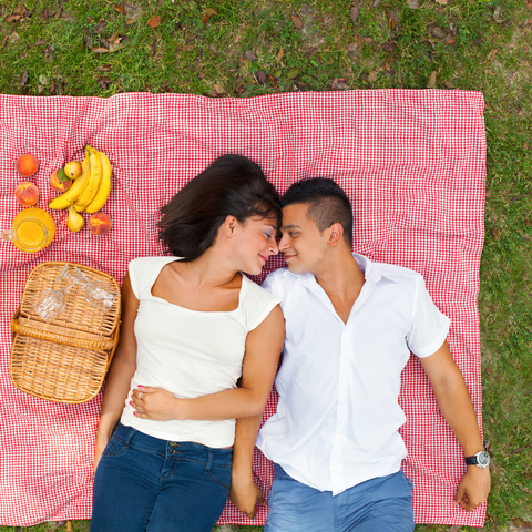 romantic couples picnic