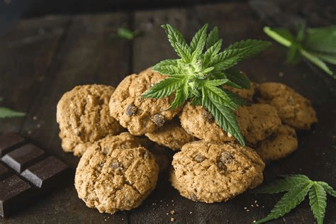 Celebrate 420 day by enjoying a cannabis inspired meal given guide by vivant