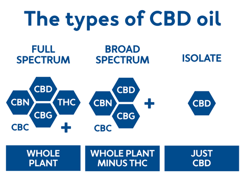 Vivant gives the different types of CBD oil like full spectrum, broad spectrum and isolate.