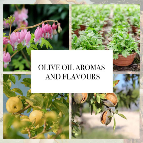 Olive oil aromas and flavours
