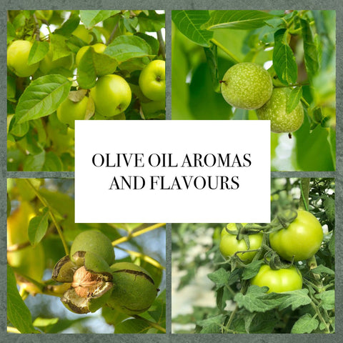 Olive oil di Frantoio BIO aromas and flavours